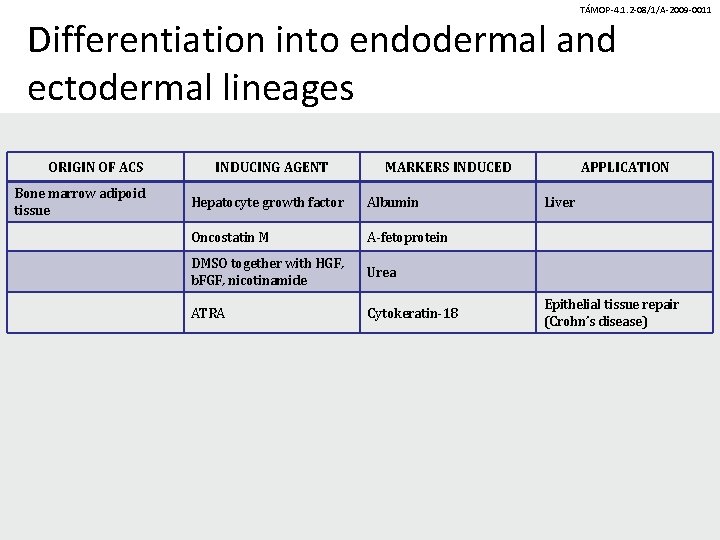 TÁMOP-4. 1. 2 -08/1/A-2009 -0011 Differentiation into endodermal and ectodermal lineages ORIGIN OF ACS