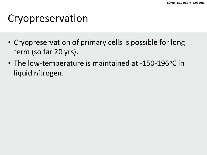 TÁMOP-4. 1. 2 -08/1/A-2009 -0011 Cryopreservation • Cryopreservation of primary cells is possible for