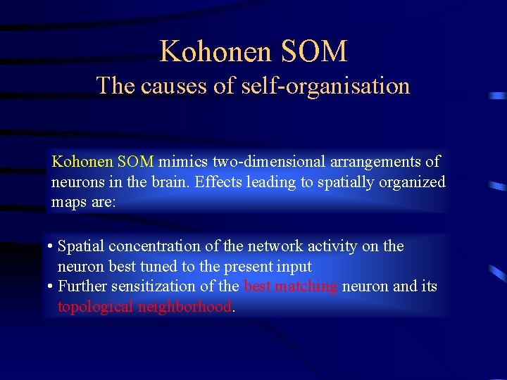 Kohonen SOM The causes of self-organisation Kohonen SOM mimics two-dimensional arrangements of neurons in