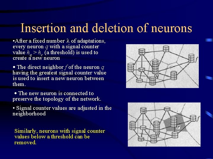 Insertion and deletion of neurons • After a fixed number of adaptations, every neuron