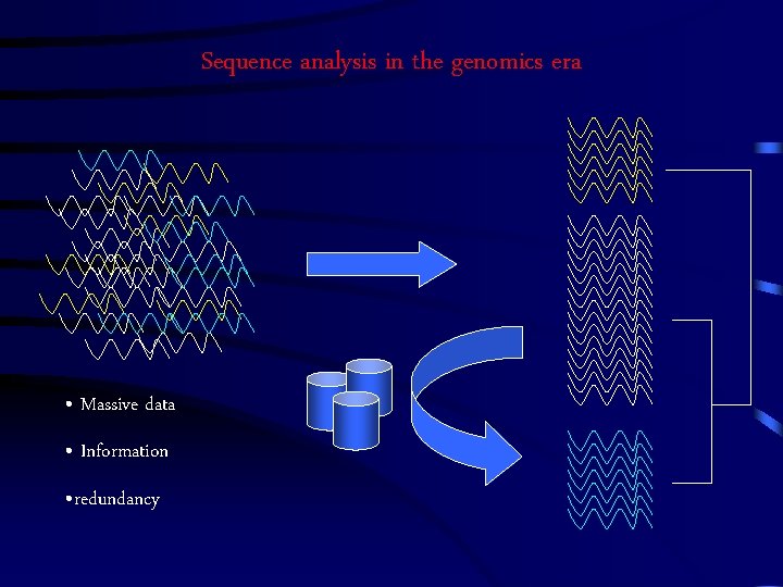 Sequence analysis in the genomics era • Massive data • Information • redundancy 