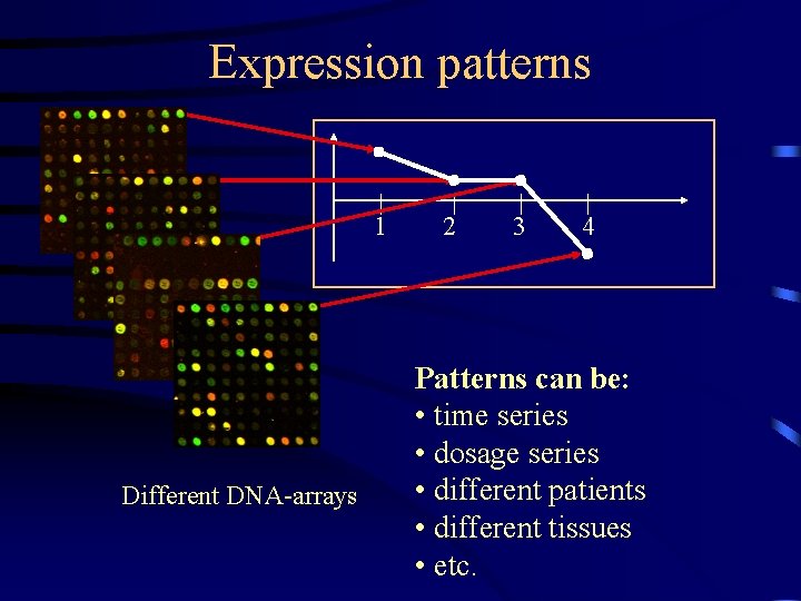 Expression patterns 1 Different DNA-arrays 2 3 4 Patterns can be: • time series