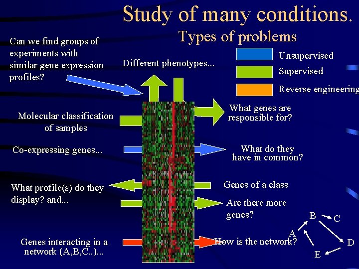 Study of many conditions. Can we find groups of experiments with similar gene expression