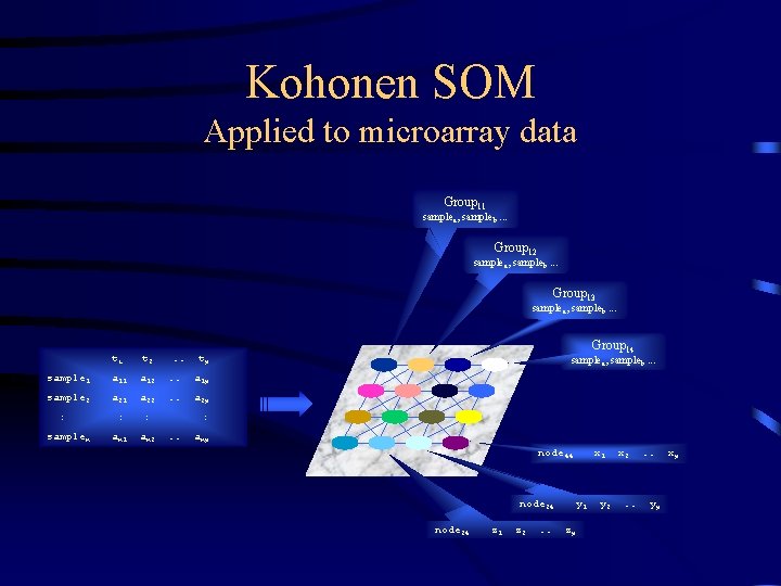 Kohonen SOM Applied to microarray data Group 11 samplea, sampleb. . . Group 12