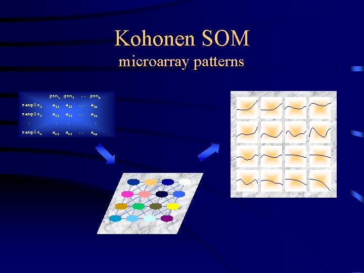 Kohonen SOM microarray patterns gen 1 gen 2 . . genp sample 1 a