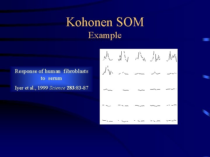 Kohonen SOM Example Response of human fibroblasts to serum Iyer et al. , 1999