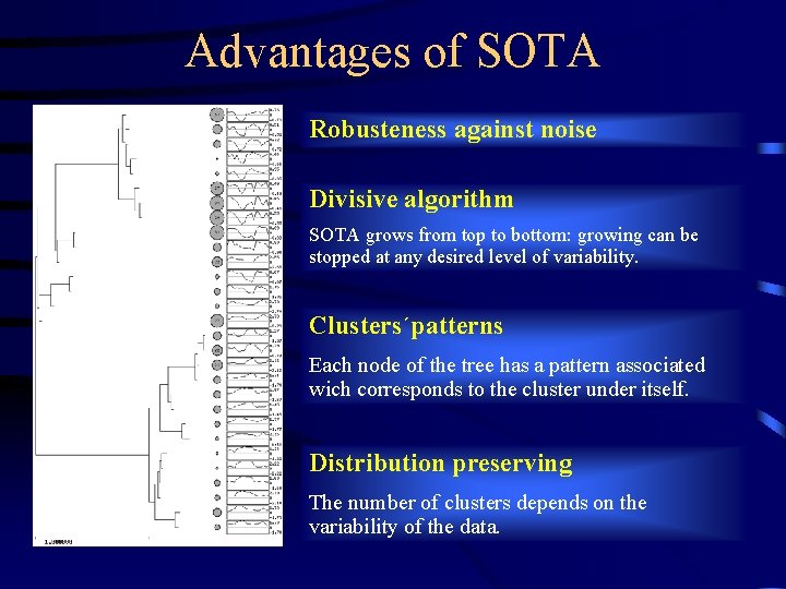 Advantages of SOTA Robusteness against noise Divisive algorithm SOTA grows from top to bottom: