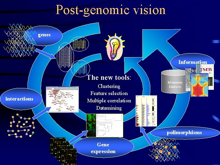 Post-genomic vision genes Information The new tools: interactions Clustering Feature selection Multiple correlation Datamining