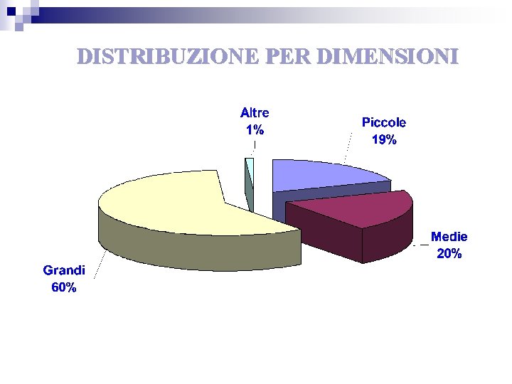 DISTRIBUZIONE PER DIMENSIONI 