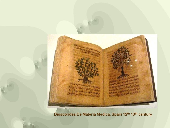 Dioscorides De Materia Medica, Spain 12 th 13 th century 