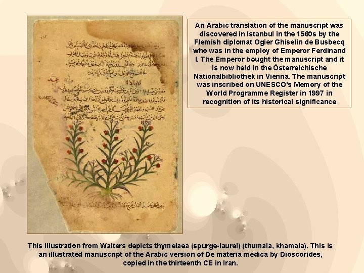 An Arabic translation of the manuscript was discovered in Istanbul in the 1560 s