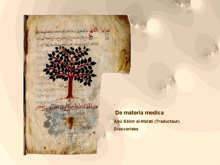 . De materia medica Abû Sâlim al-Malatî (Traducteur) Dioscorides 