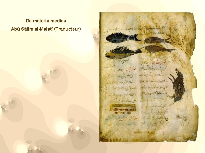 De materia medica Abû Sâlim al-Malatî (Traducteur) 