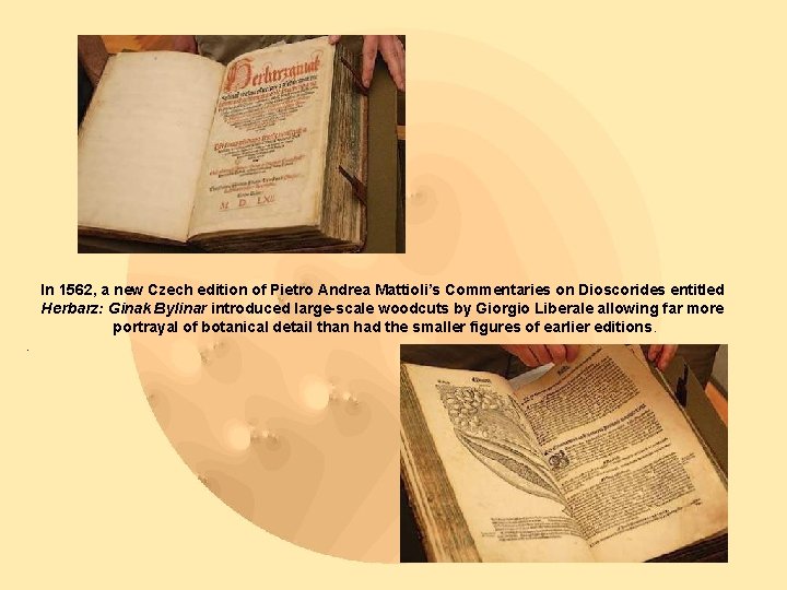 In 1562, a new Czech edition of Pietro Andrea Mattioli’s Commentaries on Dioscorides entitled