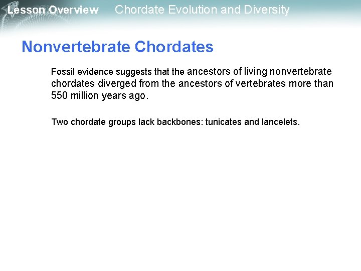 Lesson Overview Chordate Evolution and Diversity Nonvertebrate Chordates Fossil evidence suggests that the ancestors