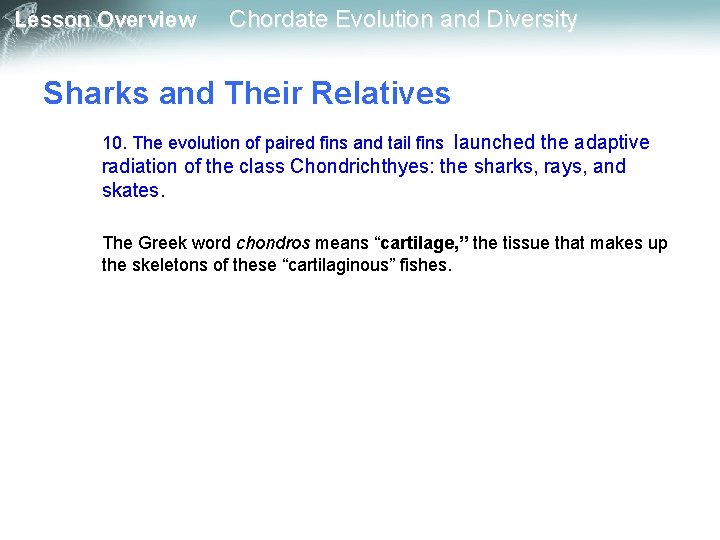 Lesson Overview Chordate Evolution and Diversity Sharks and Their Relatives 10. The evolution of