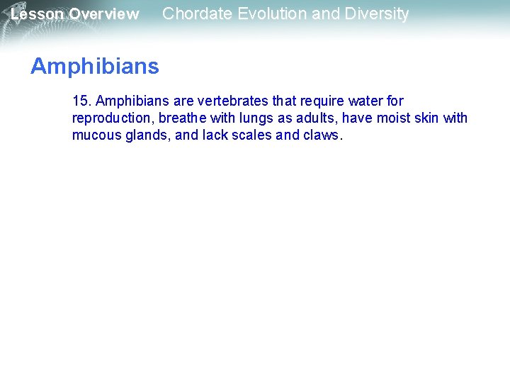 Lesson Overview Chordate Evolution and Diversity Amphibians 15. Amphibians are vertebrates that require water