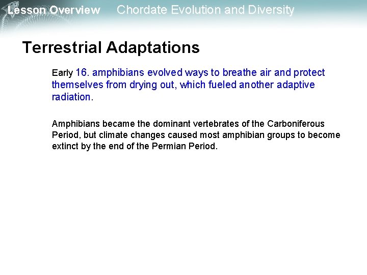 Lesson Overview Chordate Evolution and Diversity Terrestrial Adaptations Early 16. amphibians evolved ways to