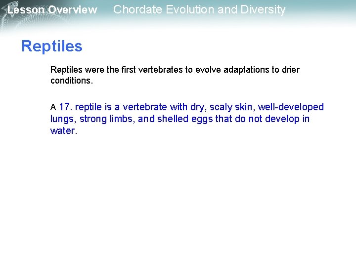 Lesson Overview Chordate Evolution and Diversity Reptiles were the first vertebrates to evolve adaptations