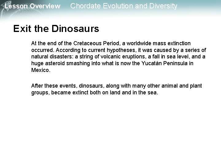 Lesson Overview Chordate Evolution and Diversity Exit the Dinosaurs At the end of the