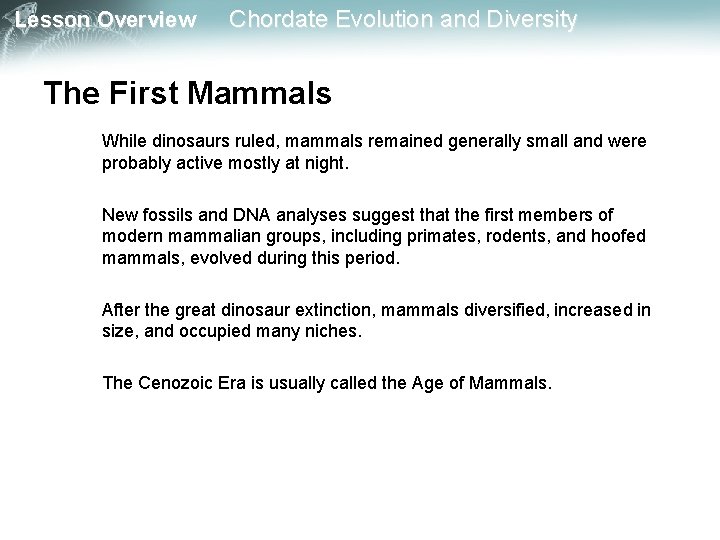 Lesson Overview Chordate Evolution and Diversity The First Mammals While dinosaurs ruled, mammals remained