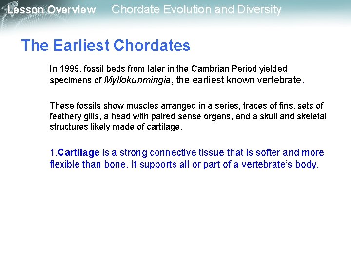 Lesson Overview Chordate Evolution and Diversity The Earliest Chordates In 1999, fossil beds from
