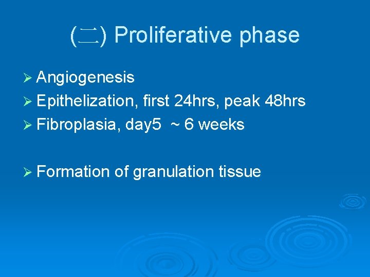 (二) Proliferative phase Ø Angiogenesis Ø Epithelization, first 24 hrs, peak 48 hrs Ø (二) Proliferative phase Ø Angiogenesis Ø Epithelization, first 24 hrs, peak 48 hrs Ø
