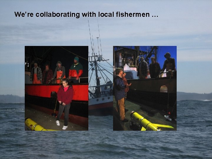 We’re collaborating with local fishermen … 