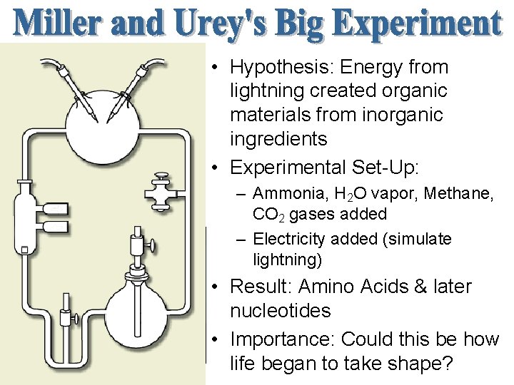  • Hypothesis: Energy from lightning created organic materials from inorganic ingredients • Experimental