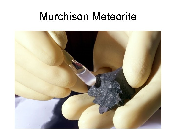 Murchison Meteorite 