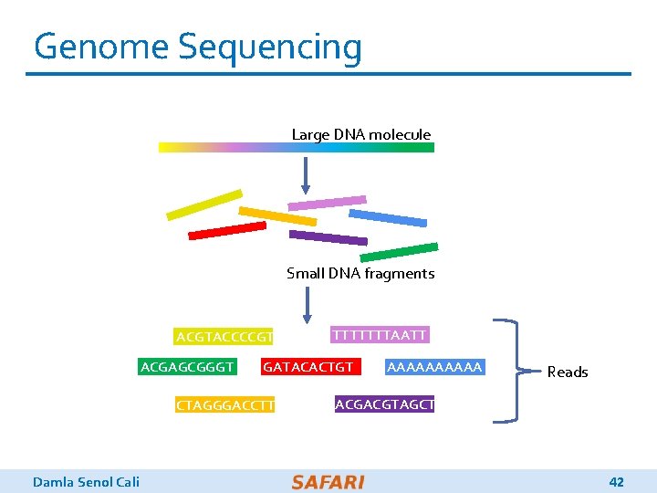 Genome Sequencing Large DNA molecule Small DNA fragments ACGTACCCCGT TTTTTTTAATT AAAAA GATACACTGT G ACGACGTAGCT