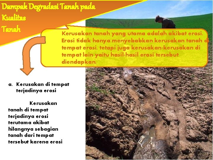 Dampak Degradasi Tanah pada Kualitas Tanah Kerusakan tanah yang utama adalah akibat erosi. Erosi