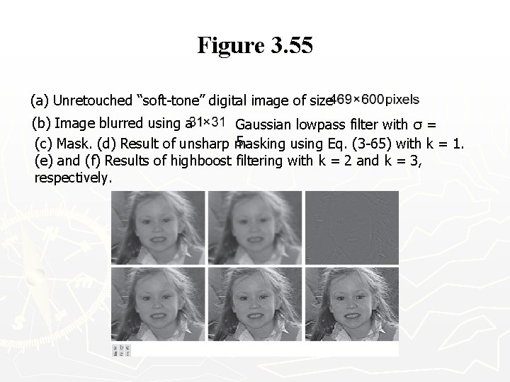 Figure 3. 55 (a) Unretouched “soft-tone” digital image of size (b) Image blurred using