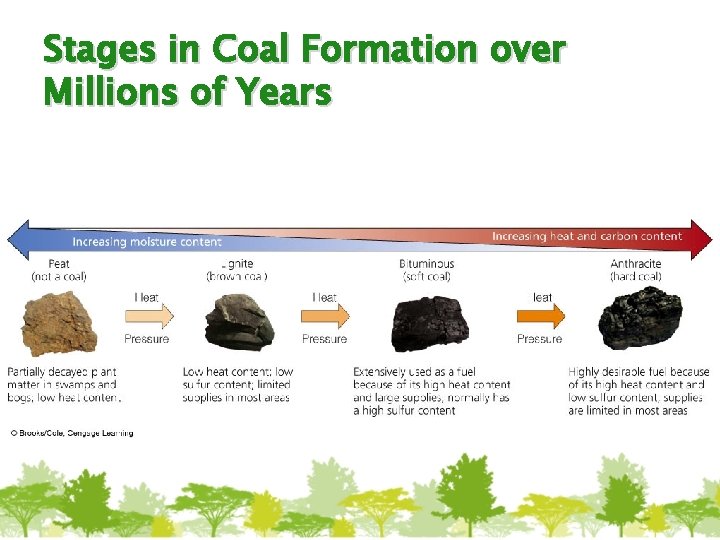 Stages in Coal Formation over Millions of Years 