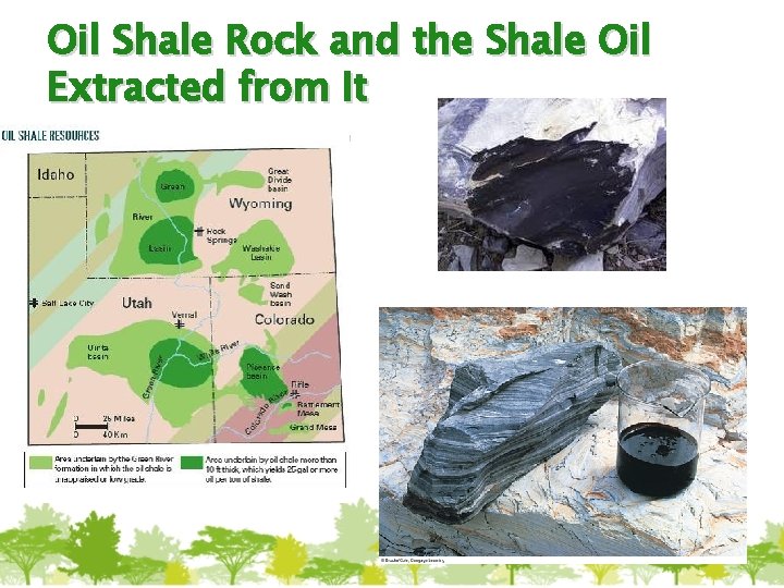 Oil Shale Rock and the Shale Oil Extracted from It 