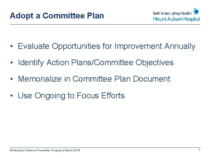 Adopt a Committee Plan • Evaluate Opportunities for Improvement Annually • Identify Action Plans/Committee