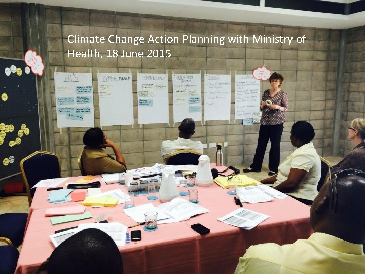 Climate Change Action Planning with Ministry of Health, 18 June 2015 