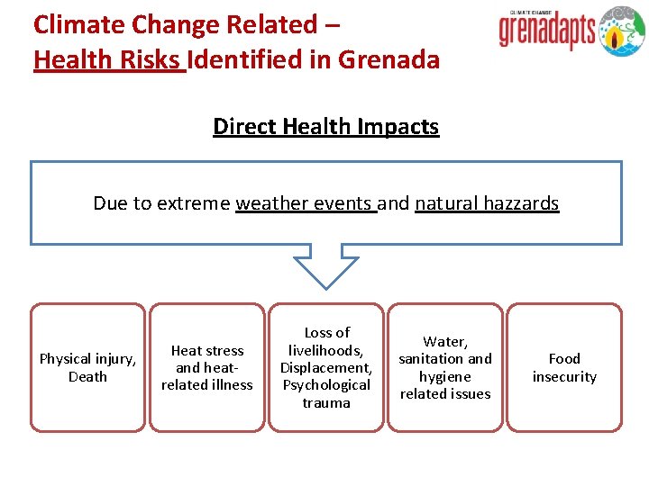 Climate Change Related – Health Risks Identified in Grenada Direct Health Impacts Due to