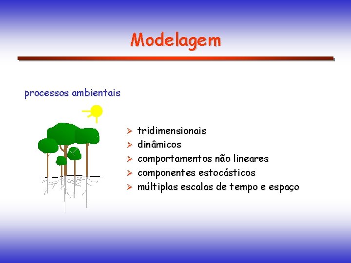 Modelagem processos ambientais Ø Ø Ø tridimensionais dinâmicos comportamentos não lineares componentes estocásticos múltiplas