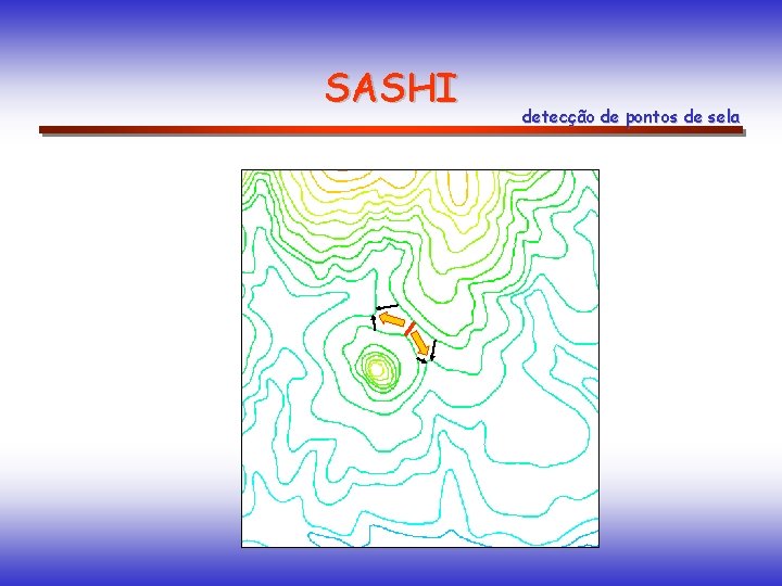 SASHI detecção de pontos de sela 