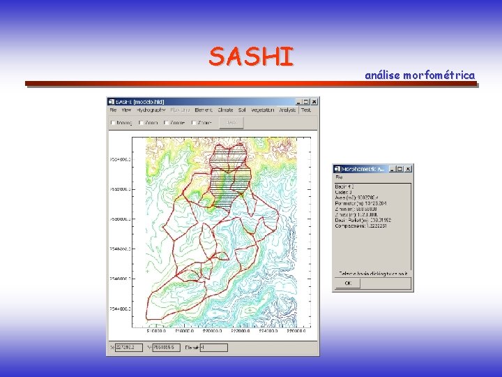 SASHI análise morfométrica 