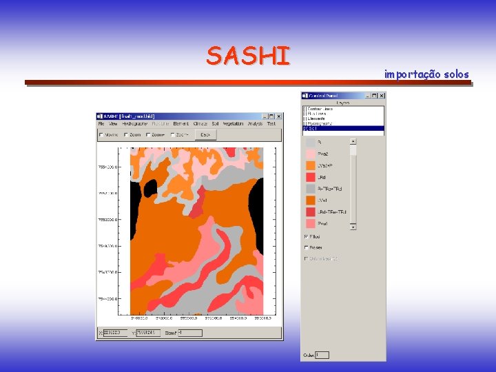 SASHI importação solos SASHI importação solos