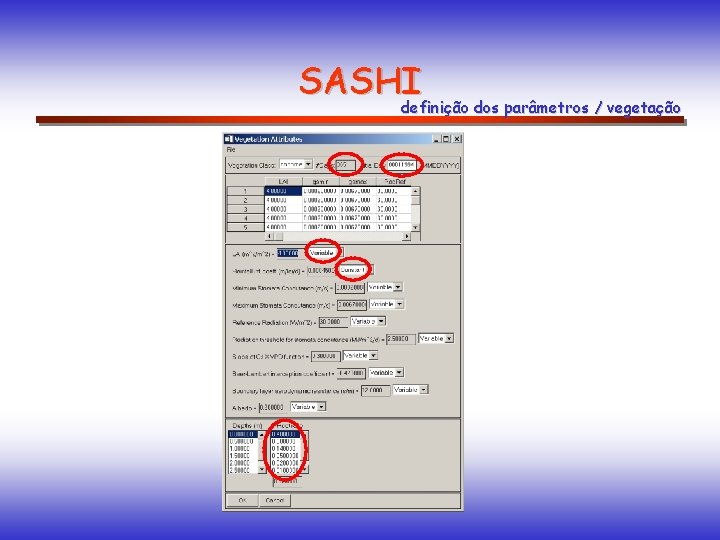 SASHI definição dos parâmetros / vegetação 