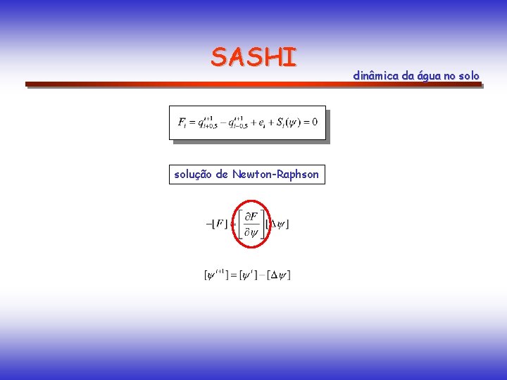 SASHI solução de Newton-Raphson dinâmica da água no solo 