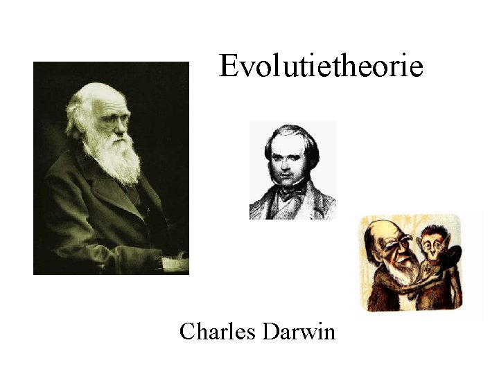 Evolutietheorie Charles Darwin Evolutie is een geleidelijke ontwikkeling