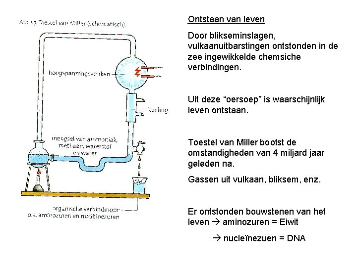 Ontstaan van leven Door blikseminslagen, vulkaanuitbarstingen ontstonden in de zee ingewikkelde chemsiche verbindingen. Uit Ontstaan van leven Door blikseminslagen, vulkaanuitbarstingen ontstonden in de zee ingewikkelde chemsiche verbindingen. Uit