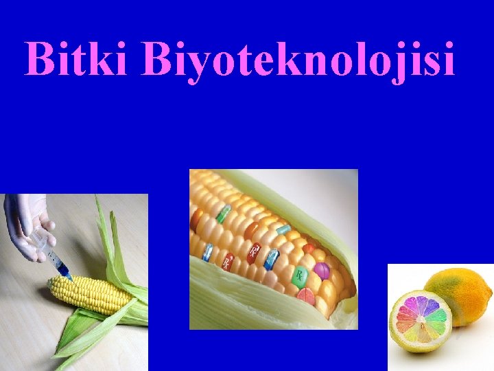 Bitki Biyoteknolojisi 