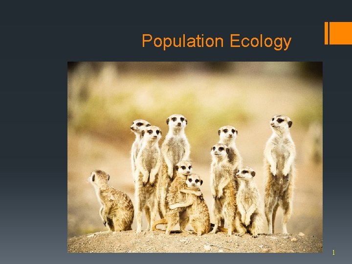 Population Ecology 1 