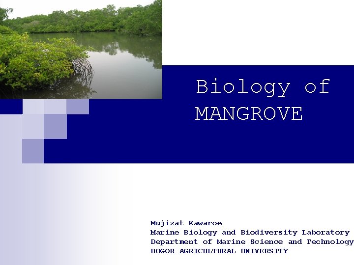 Biology of MANGROVE Mujizat Kawaroe Marine Biology and Biodiversity Laboratory Department of Marine Science