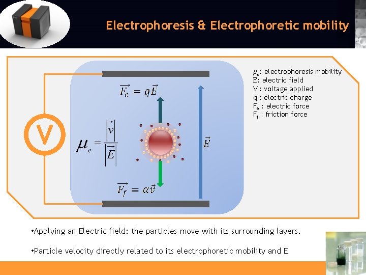 Electrophoresis & Electrophoretic mobility V µe: electrophoresis mobility E: electric field V : voltage